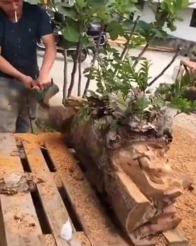 This incredible wood carving