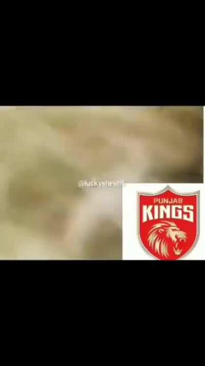 From Lions to underdogs. They have seen it all.