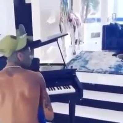 crazy niga 3 wya????????????????????????