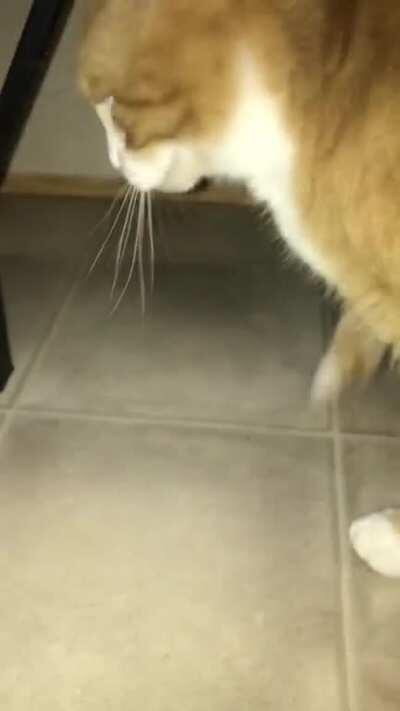 There not really any other flair to use so I used this one sorry.