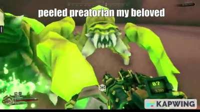 i love peeled praetorians