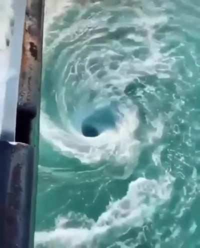 Ocean Whirlpool aka the Sea Tornado