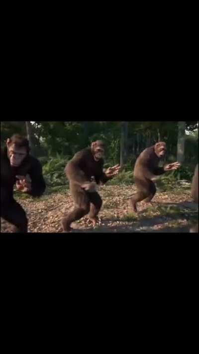 Now that’s what I call ape