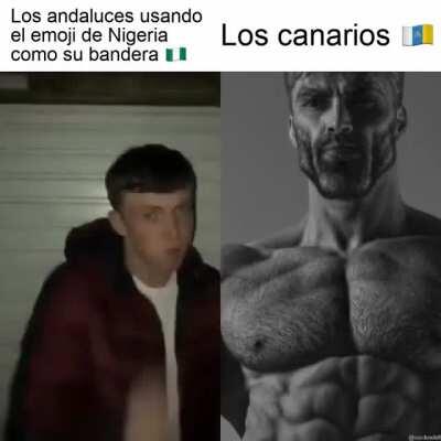 Canarios