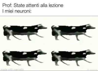 Estremamente vero *attivate il volume*