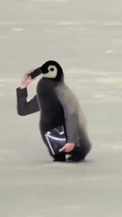 Thanks, I love birds with hands