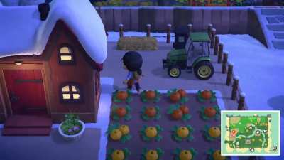 Made a farm on my island!