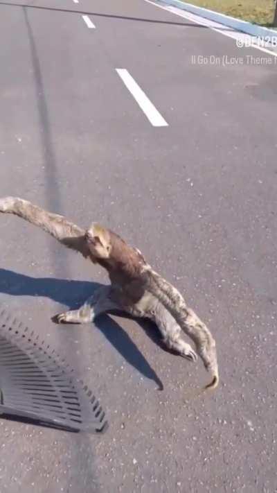 Pq carregaram ele assim? 😭