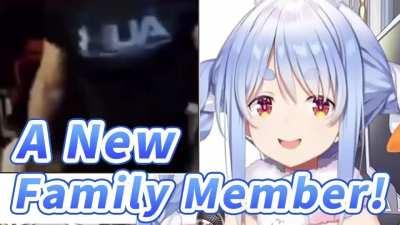 A New Family Member!