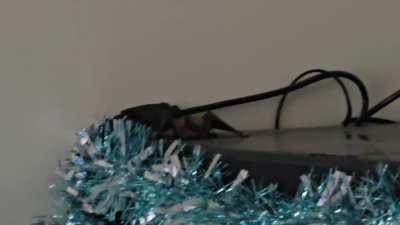 My day is going well