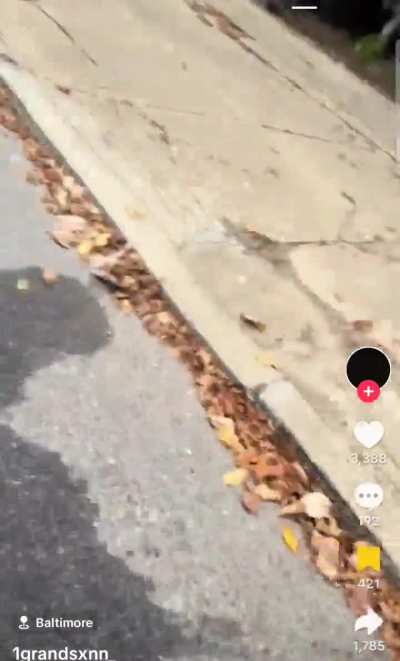 To kill a civilian who won't answer your questions