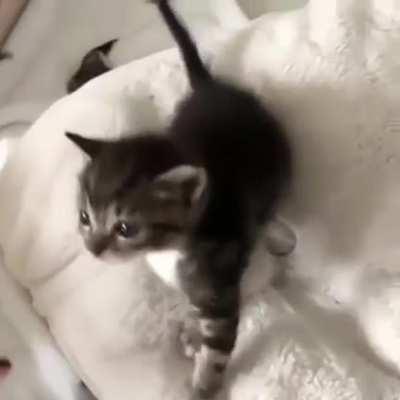 Pointy-ness proportional to loudness.