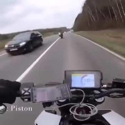 They must be british