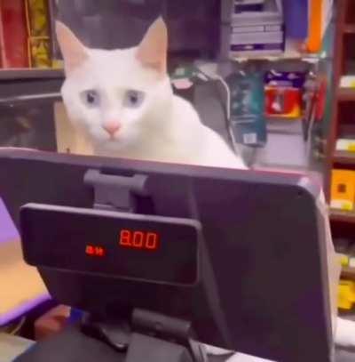 Customeower Service Life