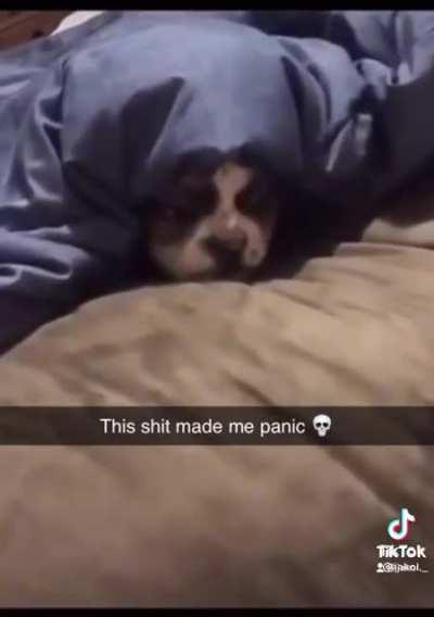 When You Notice Your Dog Acting, 