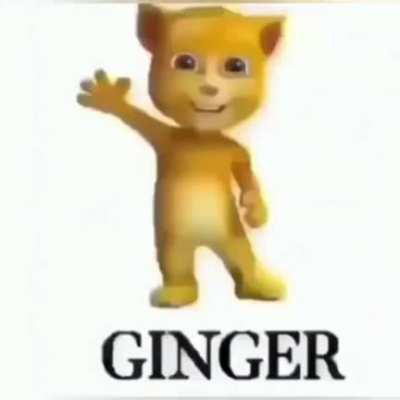 ginger