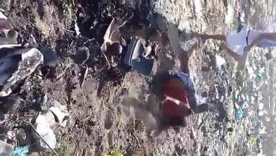 Might be a repost; if it is I'll take it down.