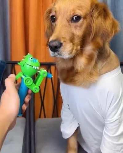 Just because he doesn't bite doesn't mean he doesn't want to. :))