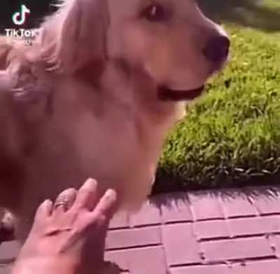 Me trying to get closer to the pal who is following me in my party: