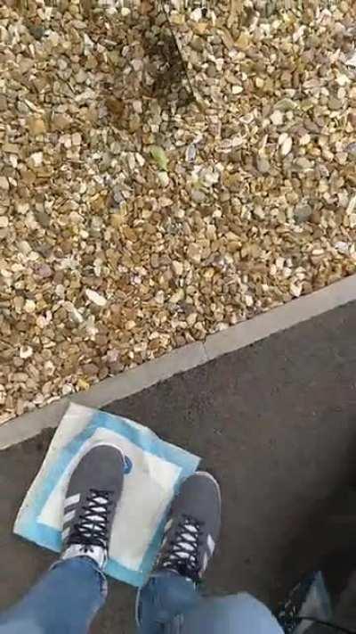 How to safely store your 1st press edition of Dark Side of the Moon.