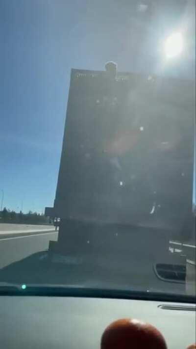 Arabic dudes Grab oranges from moving truck