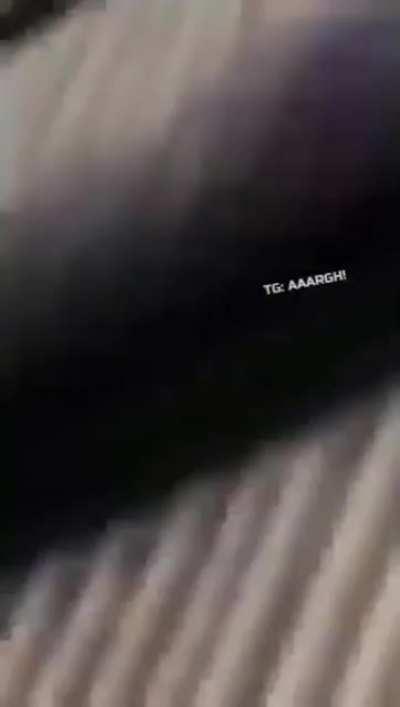 bomb disposal expert surviving explosion