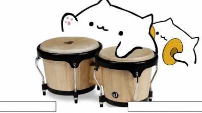 Ladies & Gentlemen, it is with great pleasure to inform you that it's finally RACE QWEEEEK..........