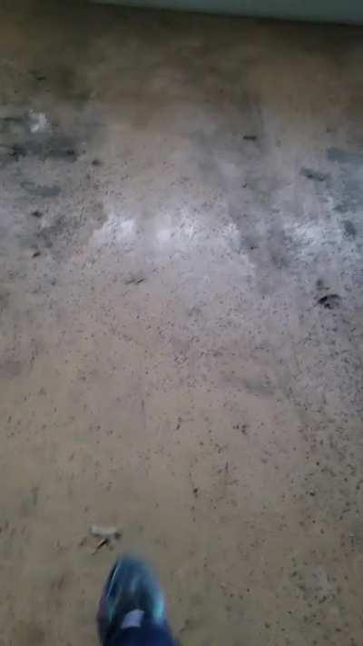 I acquired the green squid sister plush