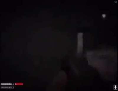 rodentintercourse - Video #1059