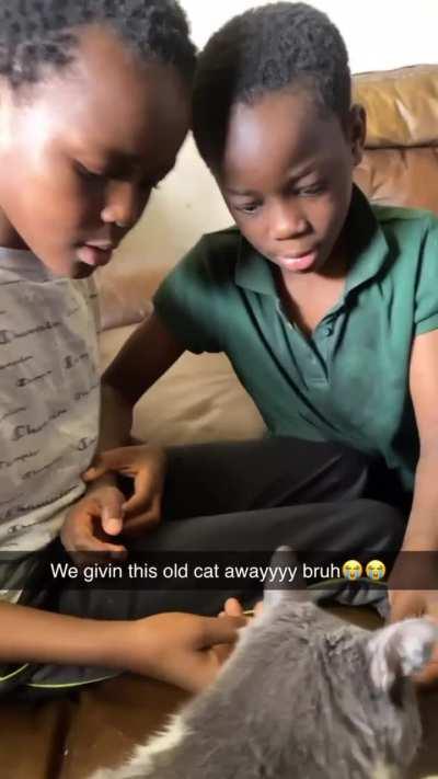 What it says is cat-astrophic