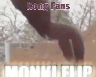 Godzilla vs Monkflip