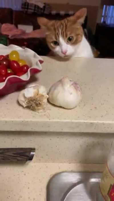 Serious airplane ears when I take away the garlic