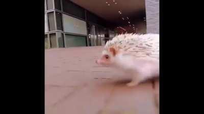 Someone on this sub came up with this idea so if you see this tell me and I’ll credit you on my channel