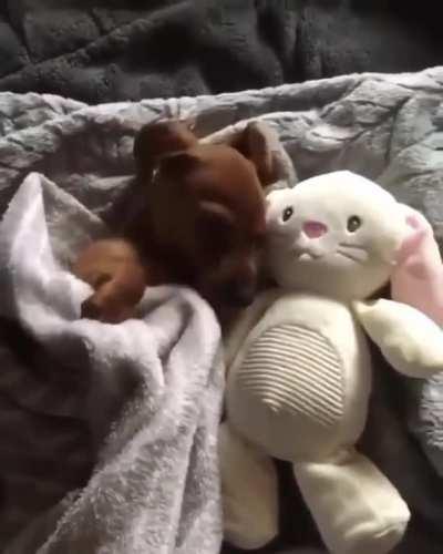 Sleeping with his favorite toy