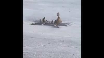 When I try to lead a squad during a free weekend