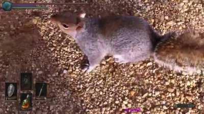 just a cute squrrial sitting on a bench....