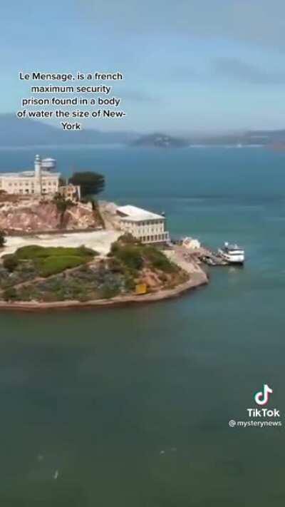 Why The fuck carti here ⁉️