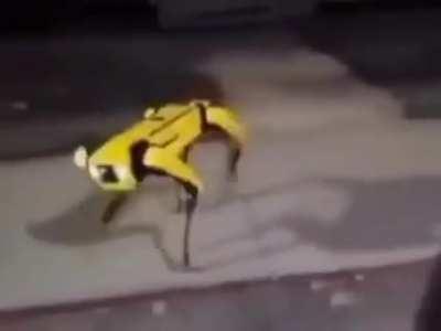 Yo Boston Dynamics... Chilllll