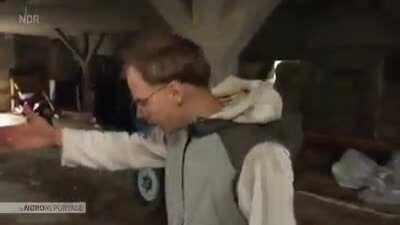 Deutschland im Endstadium - Ausschnitt aus der NDR Doku - Wolle for future - Es wird immer bunter | Die Nordreportage