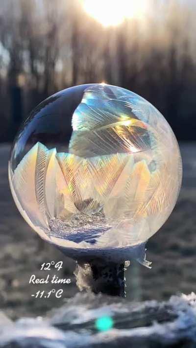Soap bubble freezes