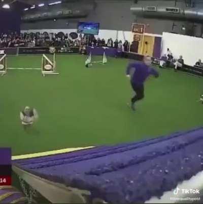 You’re going the right way for a smacked bottom.