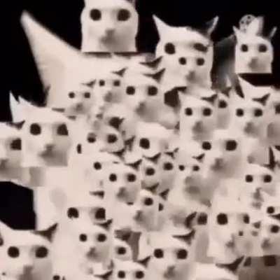 SCAREY CAT JUMPSC AR RAAAAAAAH