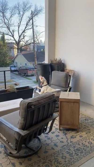 Kane got a wee bit embarrassed when he noticed he was being recorded while he was speaking to the fire trucks. You’ll want the sound on for this one.