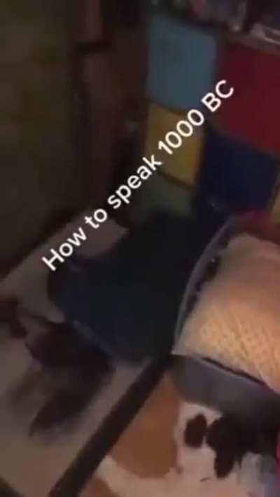 bxbdu8snevdiahfvzke xvdm (translation: title)