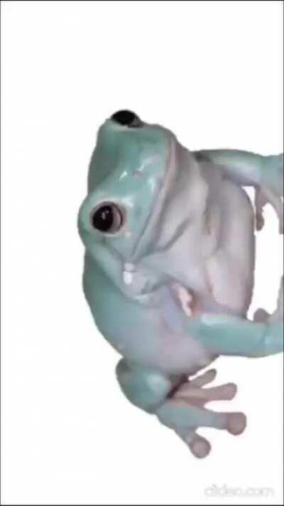 Me and the boys when Coconut Mall best drops