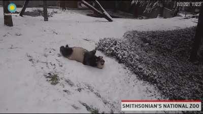 Just living my best life!