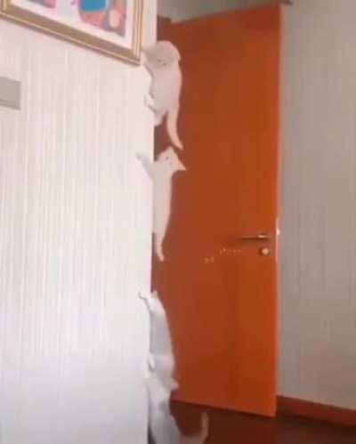 We will follow your lead dear brother!