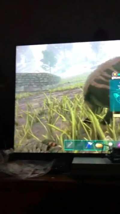 Didn’t even know twins were born because it was yeeted