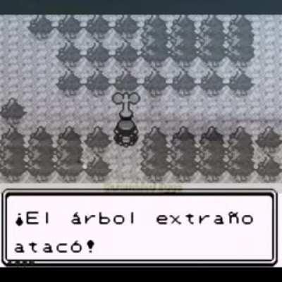 * recuerdos de vietnam *