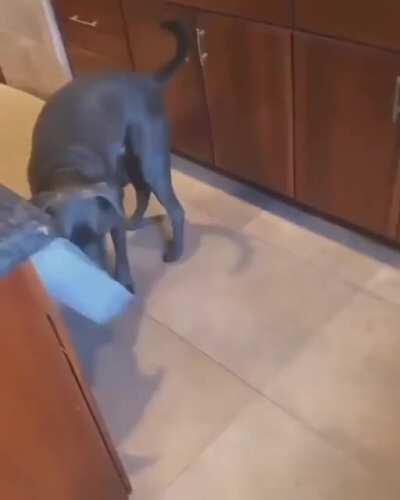 What a tender moment